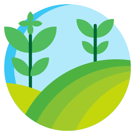 Vegetable Supplier