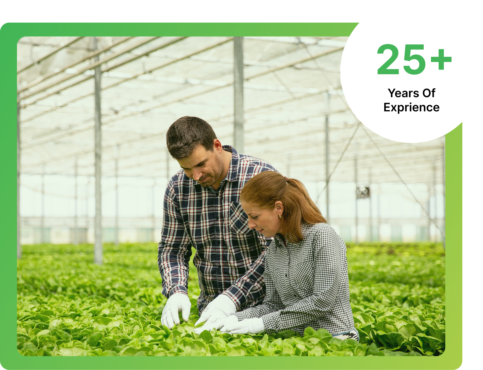 Green Agriculture